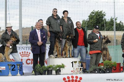 Remise des Prix 118.JPG - CHIENPLUS.COM